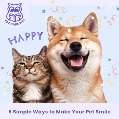 5 Simple Ways to Make Your Pet Smile 💜