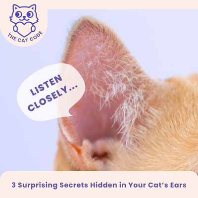 What Your Cat’s Ears Are Really Saying: 3 Secrets Behind Those Furry Signals