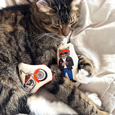 Go Kitty Go Cat Toy Set | Motorcycle Kitty