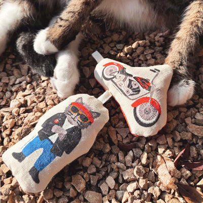 Go Kitty Go Cat Toy Set | Motorcycle Kitty