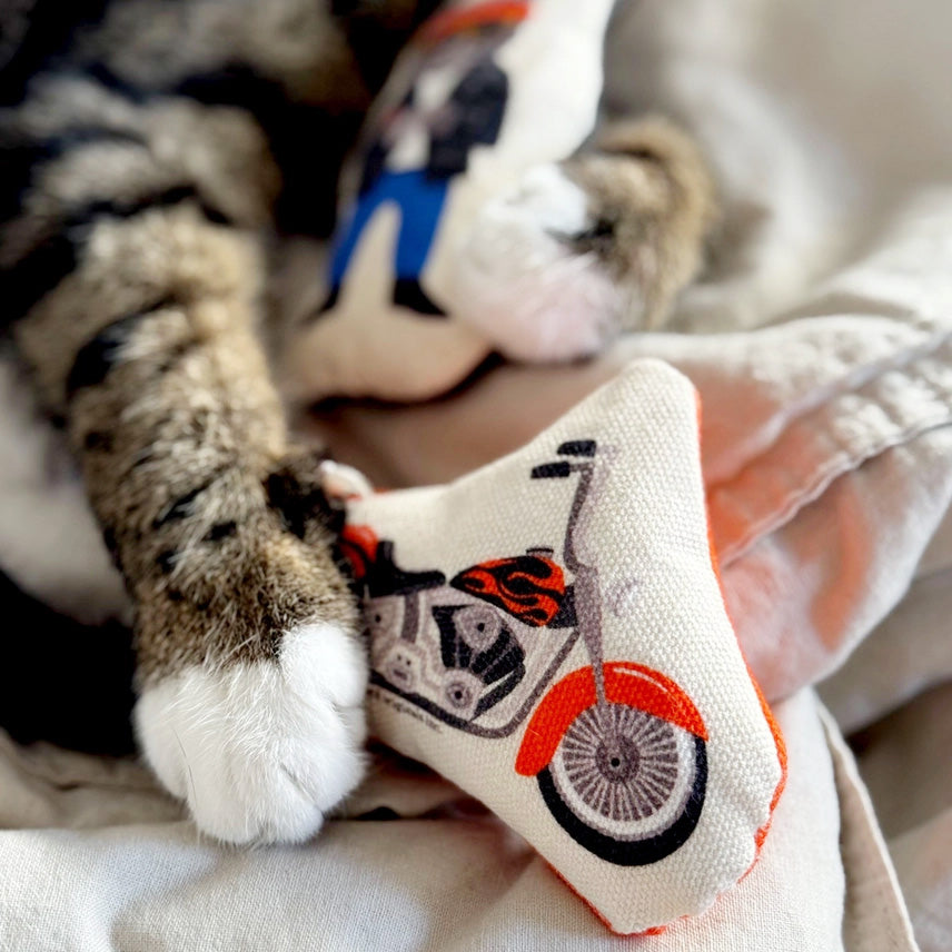 Go Kitty Go Cat Toy Set | Motorcycle Kitty