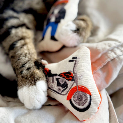 Go Kitty Go Cat Toy Set | Motorcycle Kitty