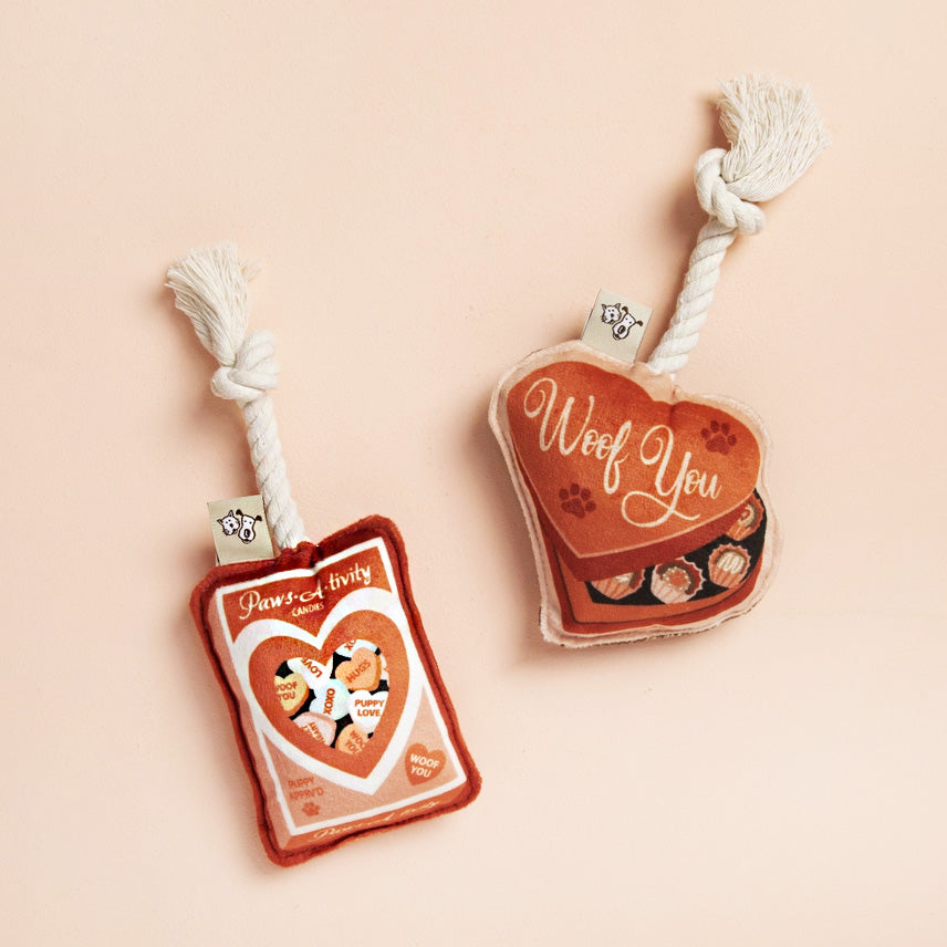 Mini Dog Toy Set | Valentine's Day Candy