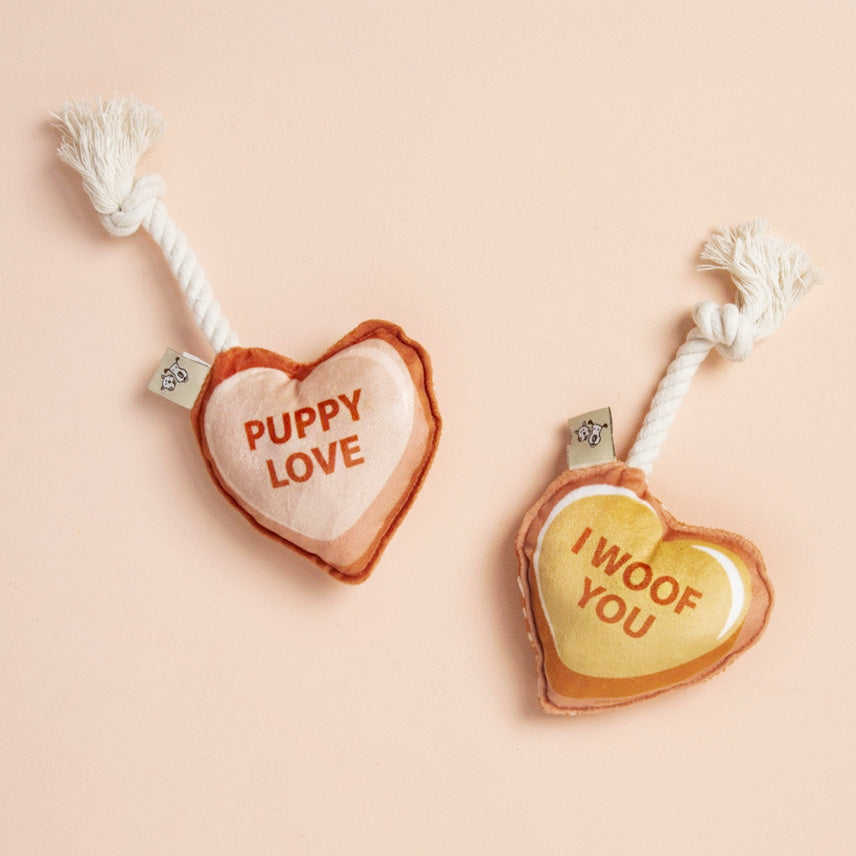 Mini Dog Toy Set | Valentine's Day Hearts